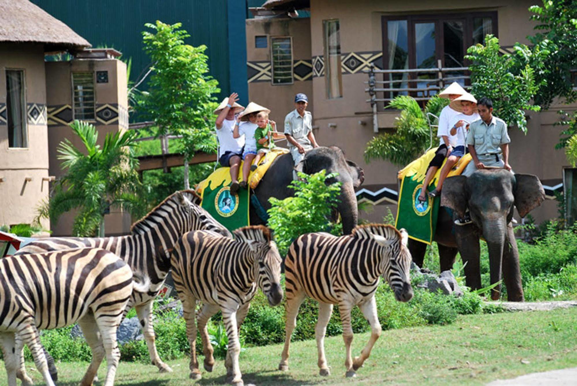 Lodge Mara River Safari Bali *